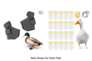 Top 12 Best Shoes for Duck Feet That Will Change Comfort