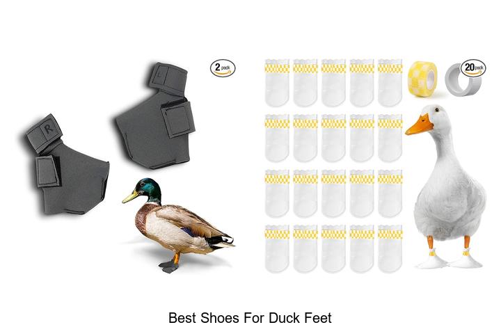Top 12 Best Shoes for Duck Feet That Will Change Comfort